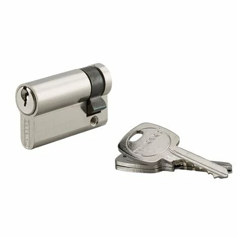 THIRARD - Demi-cylindre De Serrure, 40x10mm, Anti-arrachement, Nickel, 3 Clés 3 THIRARD - Demi-cylindre De Serrure, 40x10mm, Anti-arrachement, Nickel, 3 Clés