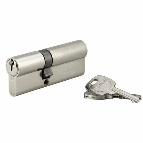 THIRARD - Cylindre De Serrure Double Entrée, 35x50mm, Anti-arrachement, Nickel, 3 Clés 3 THIRARD - Cylindre De Serrure Double Entrée, 35x50mm, Anti-arrachement, Nickel, 3 Clés