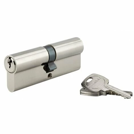 THIRARD - Cylindre De Serrure Double Entrée, 45x45mm, Anti-arrachement, Nickel, 3 Clés 3 THIRARD - Cylindre De Serrure Double Entrée, 45x45mm, Anti-arrachement, Nickel, 3 Clés