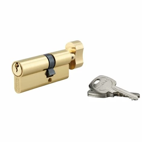 THIRARD - Cylindre De Serrure à Bouton, 30Bx50mm, Anti-arrachement, Laiton, 3 Clés 3 THIRARD - Cylindre De Serrure à Bouton, 30Bx50mm, Anti-arrachement, Laiton, 3 Clés