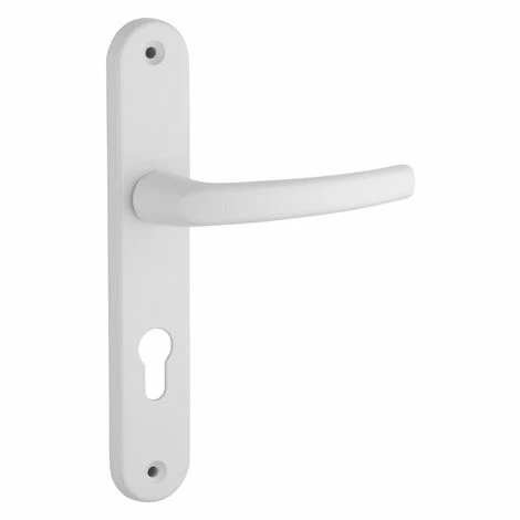 THIRARD - Ensemble De Poignées Pour Porte D'entrée Palière Sultane Trou De Cylindre, Entr'axes 195mm, Blanc 4 THIRARD - Ensemble De Poignées Pour Porte D'entrée Palière Sultane Trou De Cylindre, Entr'axes 195mm, Blanc – Image 2