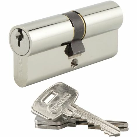 Cylindre Profil Européen HG6 THIRARD 35x40 Mm + 3 Clés - 063541 3 Cylindre Profil Européen HG6 THIRARD 35x40 Mm + 3 Clés - 063541