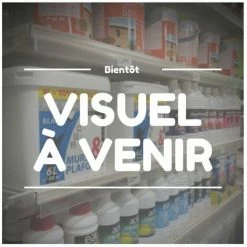 THIRARD Lot De 10 Etiquettes Plastifie75x130mm 'ne Pas Mettre En Marche, En Cours D'entretien' +