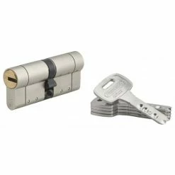 THIRARD - Cylindre De Serrure Double Entrée Federal S, 35x35mm, Nickel, Anti-arrachement, Anti-perçage, 5 Clés