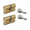 THIRARD - Lot De 2 Cylindres De Serrure Double Entrée HG, 30x30mm, S'entrouvrant, Nickel,3 Clés/cylindre 1 THIRARD - Lot De 2 Cylindres De Serrure Double Entrée HG, 30x30mm, S'entrouvrant, Nickel,3 Clés/cylindre -THIRARD Soldes 17236385 1
