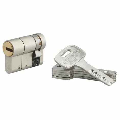 THIRARD - Demi-cylindre De Serrure Federal S, 30x10mm, Nickel, Anti-arrachement, Anti-perçage, 5 Clés 3 THIRARD - Demi-cylindre De Serrure Federal S, 30x10mm, Nickel, Anti-arrachement, Anti-perçage, 5 Clés
