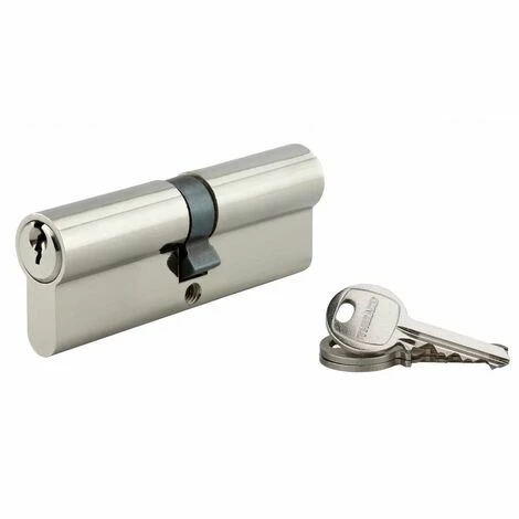 THIRARD - Cylindre à Clé Crantée 45 X 45 Mm 3 Clés Avec Vis De 45 Mm Nickelé 3 THIRARD - Cylindre à Clé Crantée 45 X 45 Mm 3 Clés Avec Vis De 45 Mm Nickelé