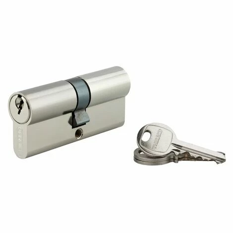 THIRARD - Cylindre à Clé Crantée 35 X 35 Mm 3 Clés Avec Vis De 45 Mm Nickelé 3 THIRARD - Cylindre à Clé Crantée 35 X 35 Mm 3 Clés Avec Vis De 45 Mm Nickelé
