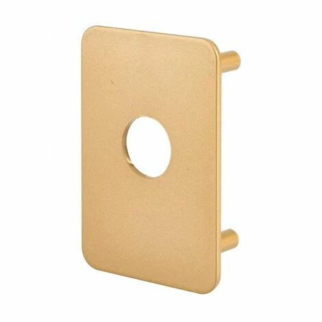 THIRARD - Plaque De Renfort Porte Isoplane Type Capital Et Transit 2 époxy Or 8 THIRARD - Plaque De Renfort Porte Isoplane Type Capital Et Transit 2 époxy Or -THIRARD Soldes 17850383 1