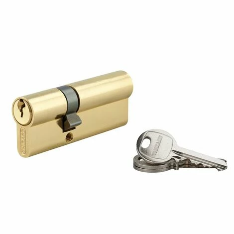 THIRARD - Cylindre à Clé Crantée 30 X 50 Mm 3 Clés Avec Vis De 50 Mm Laitonné 3 THIRARD - Cylindre à Clé Crantée 30 X 50 Mm 3 Clés Avec Vis De 50 Mm Laitonné