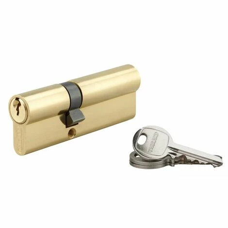 THIRARD - Cylindre à Clé Crantée 35 X 55 Mm Laitonné 3 Clés 3 THIRARD - Cylindre à Clé Crantée 35 X 55 Mm Laitonné 3 Clés