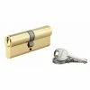 THIRARD - Cylindre à Clé Crantée 40 X 45 Mm 3 Clés Avec Vis De 50 Mm Laitonné -THIRARD Soldes 17851302 1