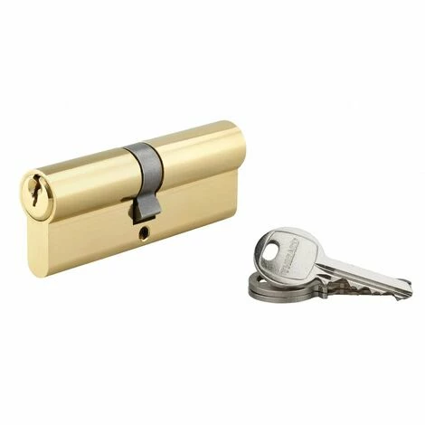THIRARD - Cylindre à Clé Crantée 40 X 45 Mm 3 Clés Avec Vis De 50 Mm Laitonné 3 THIRARD - Cylindre à Clé Crantée 40 X 45 Mm 3 Clés Avec Vis De 50 Mm Laitonné