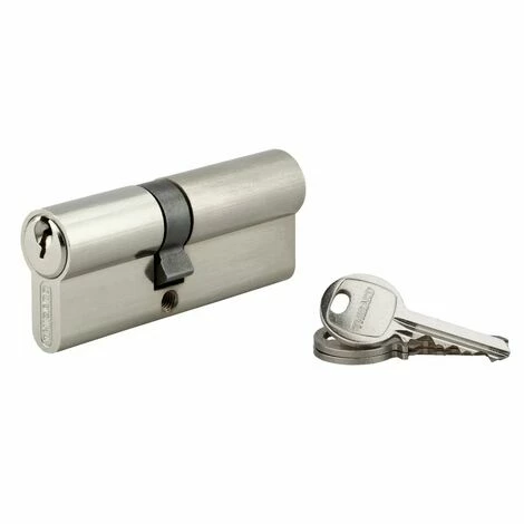 THIRARD - Cylindre à Clé Crantée 35 X 45 Mm 3 Clés Avec Vis De 50 Mm Nickelé 3 THIRARD - Cylindre à Clé Crantée 35 X 45 Mm 3 Clés Avec Vis De 50 Mm Nickelé