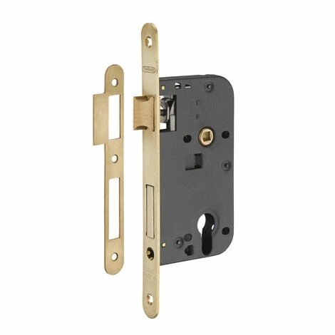 THIRARD - Boitier De Serrure Encastrable à Cylindre Pour Porte D'entrée, Axe 50mm, Bouts Ronds, Têtière Laiton Brossé 3 THIRARD - Boitier De Serrure Encastrable à Cylindre Pour Porte D'entrée, Axe 50mm, Bouts Ronds, Têtière Laiton Brossé