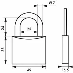 THIRARD - Cadenas à Clé Type 1, Laiton, Extérieur, Anse Acier, 45mm, 2 Clés -THIRARD Soldes 18592569 2