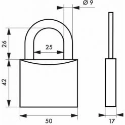 THIRARD - Cadenas à Clé Type 1, Laiton, Extérieur, Anse Acier, 50mm, 2 Clés -THIRARD Soldes 18592573 2