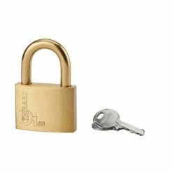 THIRARD - Cadenas à Clé Type 1, Laiton, Extérieur, Anse Laiton, 60mm, 2 Clés