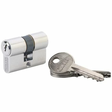 THIRARD Cylindre Double ''extra Small'' Laiton Nickelé 25 X 25 Mm 3 Clés 3 THIRARD Cylindre Double ''extra Small'' Laiton Nickelé 25 X 25 Mm 3 Clés