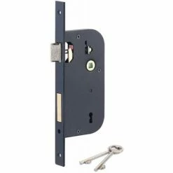 THIRARD Serrure De Sûreté à Larder à 4 Gorges, Têtière Carré, Axe à 50 Mm, Droite