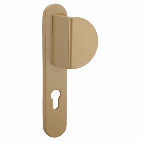 THIRARD - Poignée Targa A2P* Pour Porte Palière, Réversible, Or 4 THIRARD - Poignée Targa A2P* Pour Porte Palière, Réversible, Or – Image 2