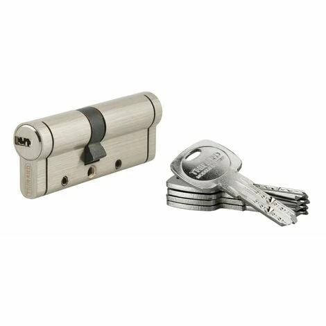 THIRARD - Cylindre De Serrure Trafic 12, 35x45mm, Nickel, Anti-arrachement, Anti-perçage, Anti-casse, 5 Clés 3 THIRARD - Cylindre De Serrure Trafic 12, 35x45mm, Nickel, Anti-arrachement, Anti-perçage, Anti-casse, 5 Clés