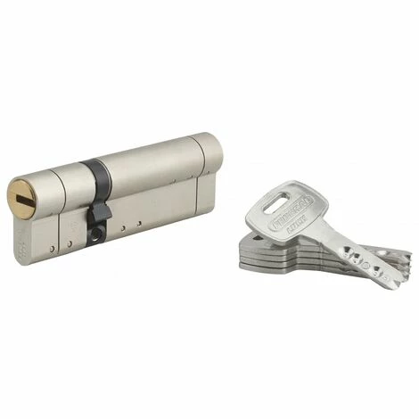 THIRARD - Cylindre De Serrure Double Entrée Federal S, 30x65mm, Nickel, Anti-arrachement, Anti-perçage, 5 Clés 3 THIRARD - Cylindre De Serrure Double Entrée Federal S, 30x65mm, Nickel, Anti-arrachement, Anti-perçage, 5 Clés