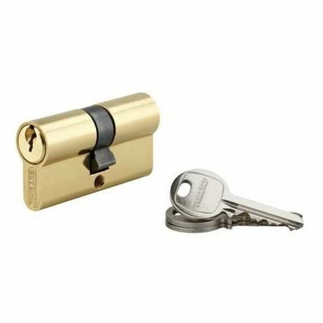 Cylindre PROFILE EUROPEEN, Laiton, 30x30 Mm, 3 Clés BB1 THIRARD 3 Cylindre PROFILE EUROPEEN, Laiton, 30x30 Mm, 3 Clés BB1 THIRARD