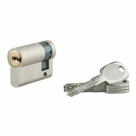 Demi Cylindre Profile TRAFIC 6, Laiton Nickel, 30x10, 5 Clés THIRARD 3 Demi Cylindre Profile TRAFIC 6, Laiton Nickel, 30x10, 5 Clés THIRARD