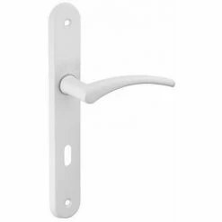 Poignée De Porte Acier, Hebe, Laqué Blanc, E195, à Trou Pour Clé THIRARD