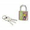 THIRARD - Cadenas à Clé Line Sport Tennis, Acier, Intérieur, Anse Acier, 30mm, 3 Clés -THIRARD Soldes 28903563 1