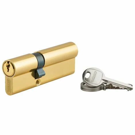 THIRARD - Cylindre De Serrure Double Entrée Ecopro, 35x55mm, Aluminium, Anti-arrachement, 3 Clés, Laiton 3 THIRARD - Cylindre De Serrure Double Entrée Ecopro, 35x55mm, Aluminium, Anti-arrachement, 3 Clés, Laiton
