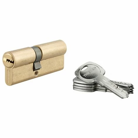 THIRARD - Cylindre De Serrure à Double Entrée Tiger 6, 35x45mm, Laiton, Anti-arrachement, Anti-perçage, 5 Clés 3 THIRARD - Cylindre De Serrure à Double Entrée Tiger 6, 35x45mm, Laiton, Anti-arrachement, Anti-perçage, 5 Clés