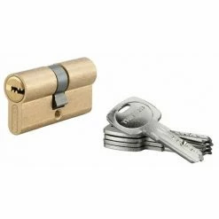 THIRARD - Cylindre De Serrure à Double Entrée Tiger 6, 30x30mm, Laiton, Anti-arrachement, Anti-perçage, 5 Clés