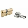THIRARD - Cylindre De Serrure à Double Entrée Tiger 6, 30x50mm, Laiton, Anti-arrachement, Anti-perçage, 5 Clés -THIRARD Soldes 28903929 1