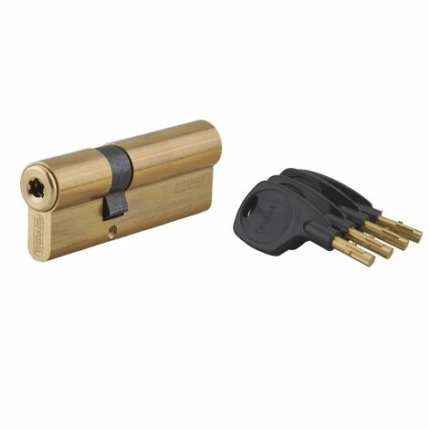 THIRARD - Cylindre De Serrure Double Entrée Surveyor, 31x61mm, Laiton, Anti-arrachement, 4 Clés 4 THIRARD - Cylindre De Serrure Double Entrée Surveyor, 31x61mm, Laiton, Anti-arrachement, 4 Clés – Image 2