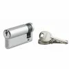 THIRARD - Demi-cylindre De Serrure Ecopro, 50x10mm, Anti-arrachement, 3 Clés, Nickel -THIRARD Soldes 28904242 1