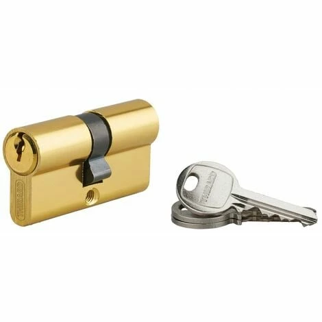THIRARD - Cylindre De Serrure Double Entrée Ecopro, 30x30mm, Aluminium, Anti-arrachement, 3 Clés, Laiton 3 THIRARD - Cylindre De Serrure Double Entrée Ecopro, 30x30mm, Aluminium, Anti-arrachement, 3 Clés, Laiton