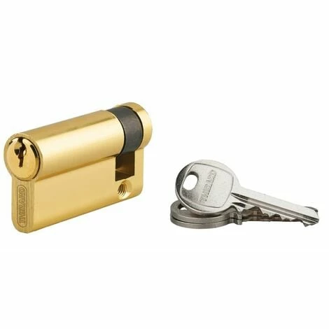 THIRARD - Demi-cylindre De Serrure Ecopro, 50x10mm, Anti-arrachement, 3 Clés, Laiton 3 THIRARD - Demi-cylindre De Serrure Ecopro, 50x10mm, Anti-arrachement, 3 Clés, Laiton