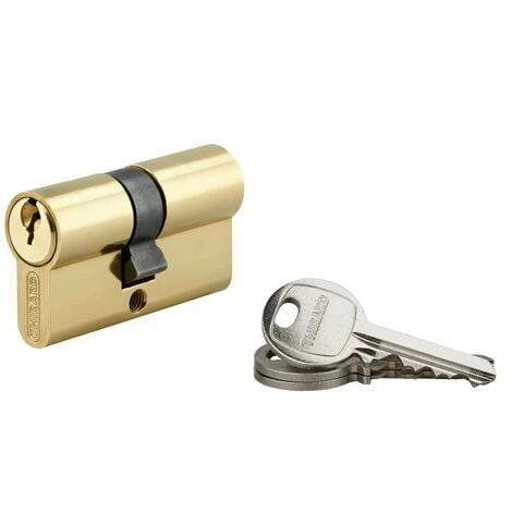 THIRARD - Cylindre De Serrure Double Entrée SA, 25x30mm, Anti-arrachement, Laiton, 3 Clés 3 THIRARD - Cylindre De Serrure Double Entrée SA, 25x30mm, Anti-arrachement, Laiton, 3 Clés