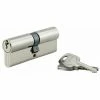 THIRARD - Cylindre De Serrure Double Entrée, 40x40mm, Anti-arrachement, Nickel, 3 Clés 1 THIRARD - Cylindre De Serrure Double Entrée, 40x40mm, Anti-arrachement, Nickel, 3 Clés -THIRARD Soldes 28995656 1