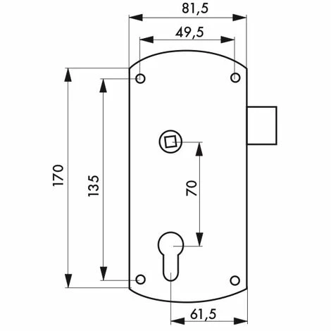 THIRARD - Boitier De Serrure En Applique Double Entrée à Fouillot Pour Portail, Réversible, Axe 61.5mm, 81.5x170mm, Noir 4 THIRARD - Boitier De Serrure En Applique Double Entrée à Fouillot Pour Portail, Réversible, Axe 61.5mm, 81.5x170mm, Noir – Image 2