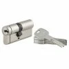 THIRARD - Cylindre De Serrure Double Entrée Transit 2, 40x30mm, Nickel, Anti-perçage, Anti-crochetage Côté 30mm, 3 Clés -THIRARD Soldes 29700794 1