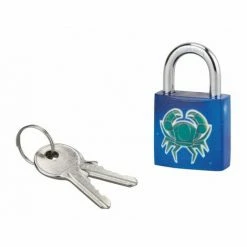 THIRARD - Cadenas à Clé Cancer, Acier, Intérieur, Anse Acier, 30mm, 3 Clés
