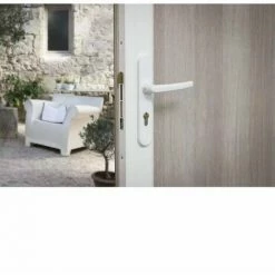 THIRARD - Boîtier Réversible Avec Gâche Standard Pour Porte Haut 2250 Mm Maxi, Blanc -THIRARD Soldes 32477388 2