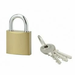 THIRARD Cadenas Acier Laitonne Acera