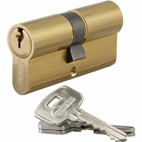 Cylindre Profil Européen HG5 THIRARD 30x35 Mm + 3 Clés - 053035 3 Cylindre Profil Européen HG5 THIRARD 30x35 Mm + 3 Clés - 053035