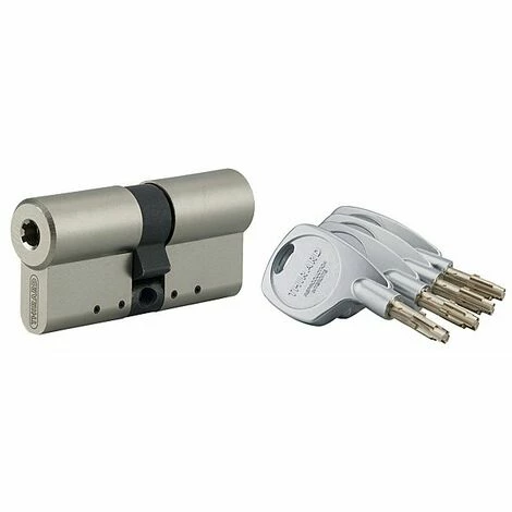 THIRARD Cylindre Modèle Cobra 2 Evolution Varié 3 THIRARD Cylindre Modèle Cobra 2 Evolution Varié