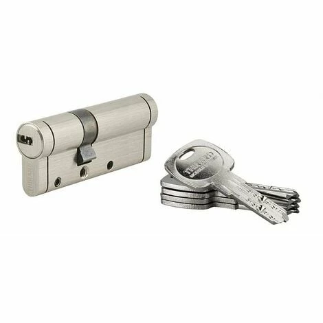 Thirard - Cylindre De Serrure 30 X 50 Mm 5 Clés - 19780 3 Thirard - Cylindre De Serrure 30 X 50 Mm 5 Clés - 19780