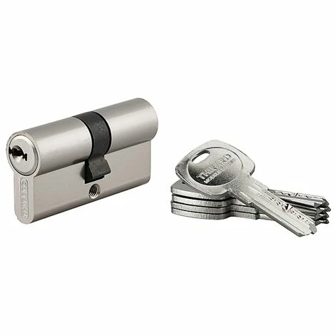 THIRARD Cylindre Modèle Trafic 6 Varié 3 THIRARD Cylindre Modèle Trafic 6 Varié